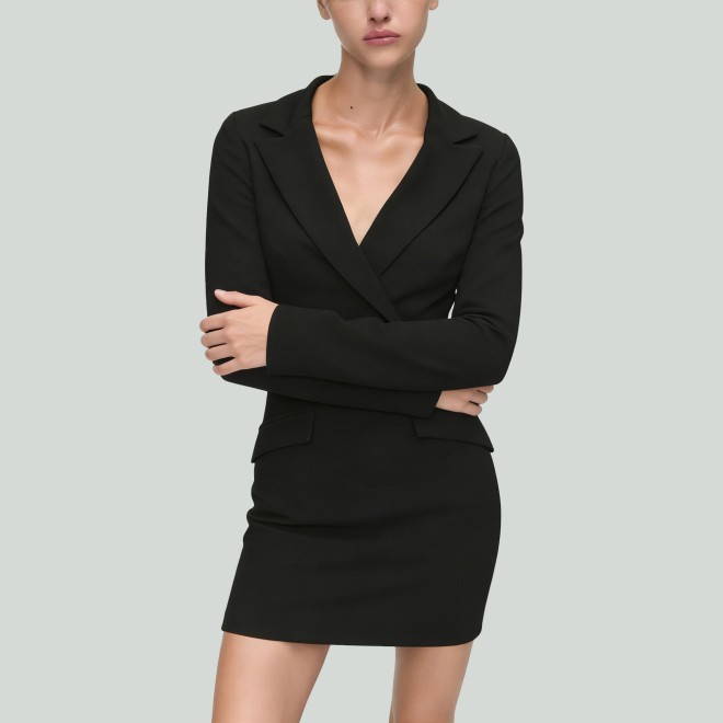 Women's Slim Fit V-Neck Long Sleeve Formal Dress